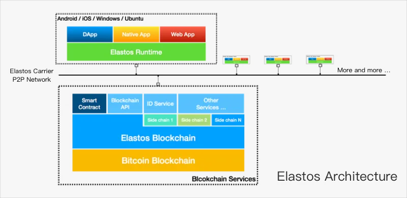 Diagrama de cómo funciona el portador elastos